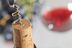 vingeoptrækker