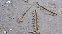 sand